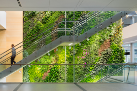 The indoor garden spans multiple floors.