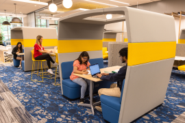 Student Study Zones in the Digital Learning Commons